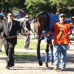 Travers - Afleet Express.