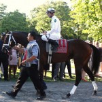 Travers - Super Saver.